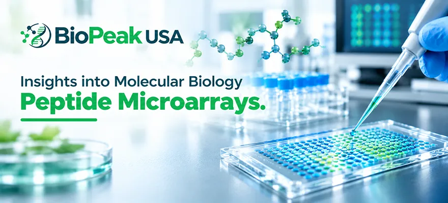 Peptide microarrays provide a high-throughput approach for studying peptide sequences and molecular interactions in laboratory research.
