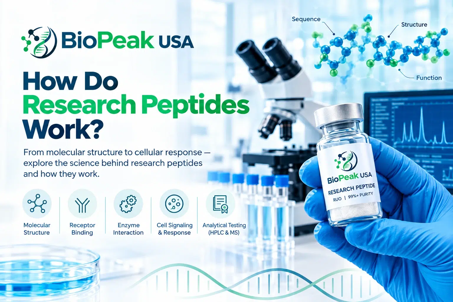 Research peptides and molecular mechanisms in a laboratory setting